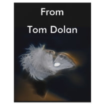 Droplet of water on a white feather letterhead template