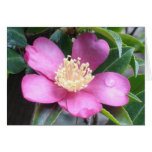 droplet on a flower greeting card