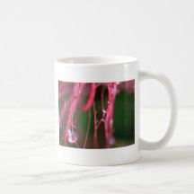 Droplet On Bottlebrush Mugs