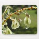Droplets 107 ~ mousepad by Andy2302 Droplets 107 ~ mousepad