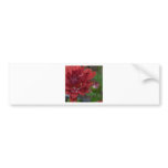 Droplets bumper stickers