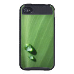 Droplets iPhone 4 Covers