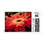 droplets stamps