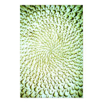 Droplets posters
