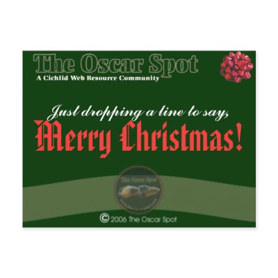 Dropping A Line Postcard by oscar_azac