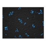 Drops (Blue) Postcards