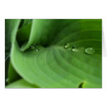 Drops  funneling card