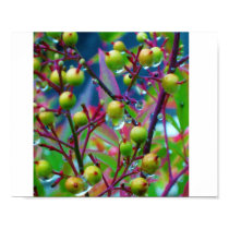 Drops in red and green posters
