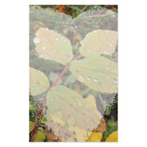 Drops of Autumn; No Text Personalized Stationery