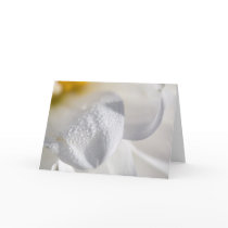 Drops on dahlia petals greeting card