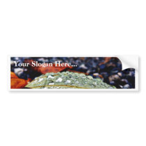Drops On Leaf 3 bumper stickers
