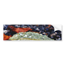 Drops On Leaf 3 bumper stickers