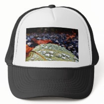 Drops On Leaf 3 hats by lifesphere Drops On Leaf 3 hats