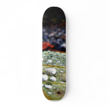 Drops On Leaf 3 skateboards by lifesphere Drops On Leaf 3 skateboards