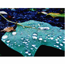 Drops On Leaf 4 photo sculptures by lifesphere Drops On Leaf 4 photo sculptures