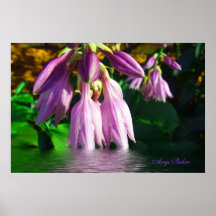 Drowning in Happiness Poster