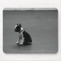 DRU puppy boston terrier mousepads by dansonbostons DRU puppy boston terrier mousepads