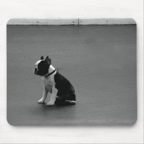 DRU puppy boston terrier mousepads by dansonbostons DRU puppy boston terrier mousepads