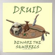 Druid: Beware the Squirrels Posters