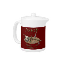 Druid: Beware the Squirrels