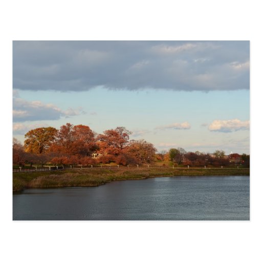 Druid Hill Park Postcard