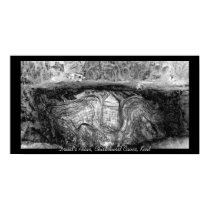 Druid's Altar Poster posters