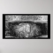 Druid's Altar Poster