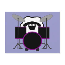 Drummer Sheep Postcard