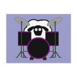 Drummer Sheep Postcard