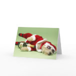 Drunk Dog Christmas Card
