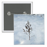 Dry branches tree sticking out of the snow buttons