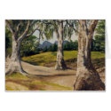 Dry creek and gumtrees in the Flinders cards