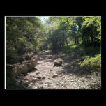 Dry Creek-bed Postcard postcards