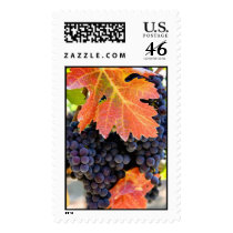 Dry Creek Rafanelli Stamps