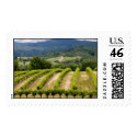 Dry Creek Vineyards postage
