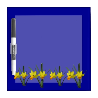 Dry erase - Daffodils in a row