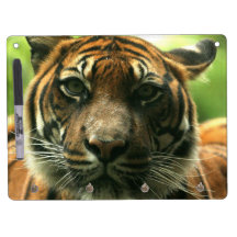 dry erase Dry-Erase boards - Customized