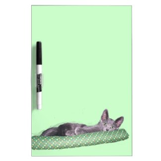 Dry erase - Gray cat with stuffed snake