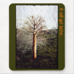 Dry Ferula Plant mousepads