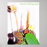 dry flowers poster