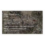 Dry Grass And Stony Ground Close Up Business Card