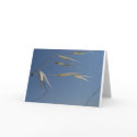 Dry grass cards by helentr Dry grass cards