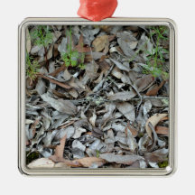Dry gum leaf background texture ornament