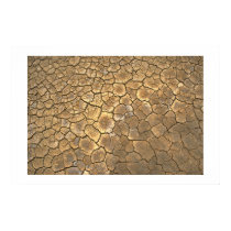 Dry Lake posters