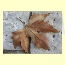 Dry maple leaf cards