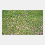 Dry Maple Leaves on Fresh Green Grass Field Stickers