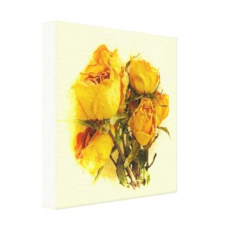 Dry Roses