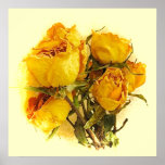 Dry Roses Poster
