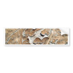 dry  soil  / crack earth bumper sticker