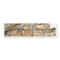 dry soil / crack earth bumper stickers by naturelife dry soil / crack earth bumper stickers